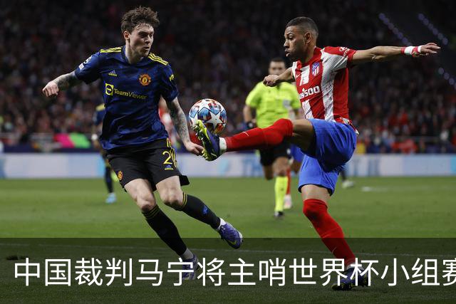 中国裁判马宁将主哨世界杯小组赛第二轮比赛